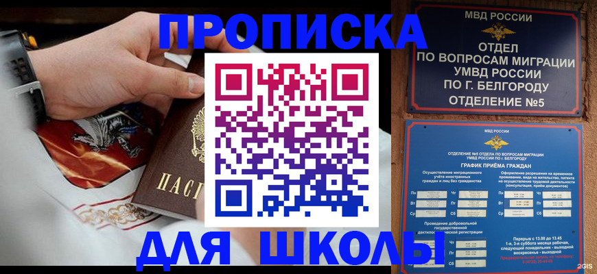 пропишу в квартире в Владимирской области
